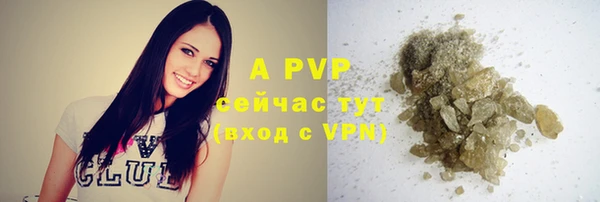 дживик Балахна