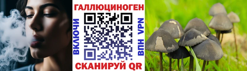 цены наркотик Куса ОМГ ОМГ Галлюциногенные грибы MAGIC MUSHROOMS